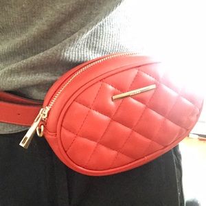 Fanny pack. Brand new